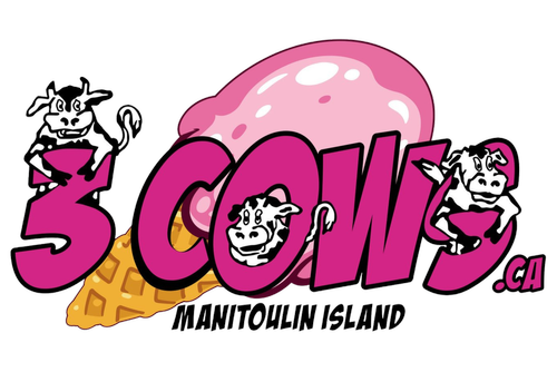 3 Cows and a cone