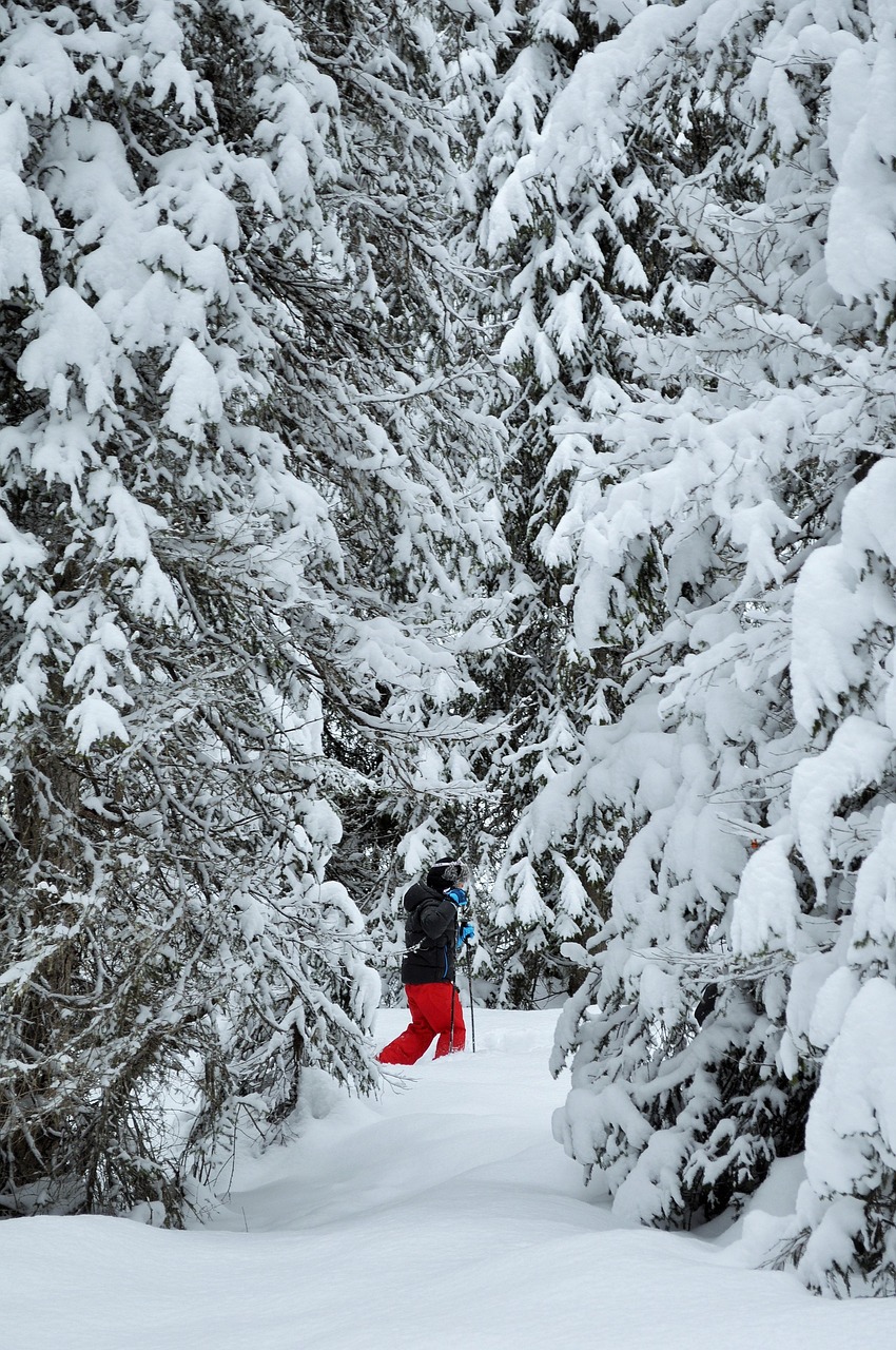 snow, alps, haute-savoie, winter landscape, mountain, ski, winter, landscape, mountaineering, nature, high alps, summit, white, france, chair lift, snowy, courchevel, the 3 valleys, fir, sky, clouds, hiking, snowshoes, snowshoes, snowshoes, snowshoes, snowshoes, snowshoes